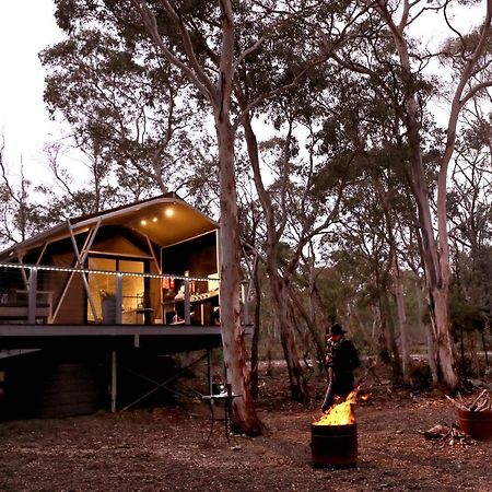 Wallabies Rest Ben Bullen Exterior foto